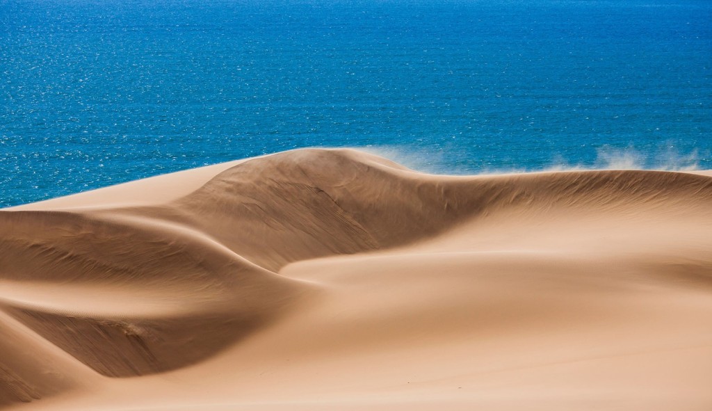 Namibian Coast: Where the Desert meets the Sea